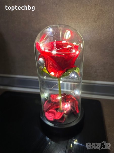 Вечна роза в стъкленица с лампички, снимка 1