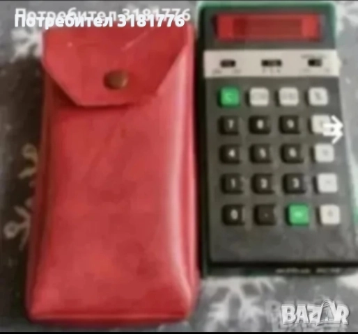 Елка, една от първите български елки.