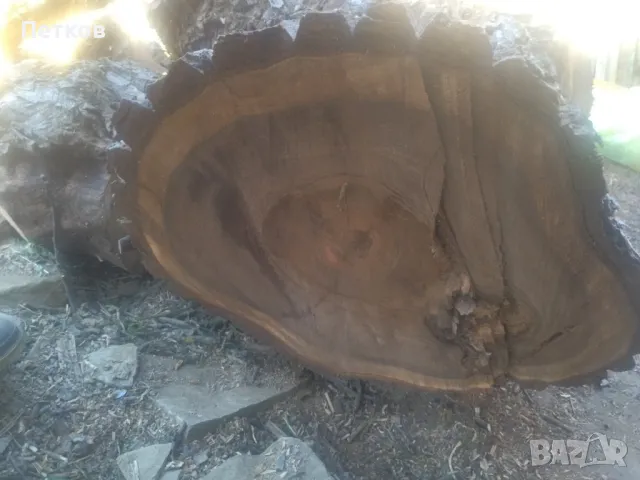 Продавам орехово дърво за материал , снимка 4 - Други - 49298637