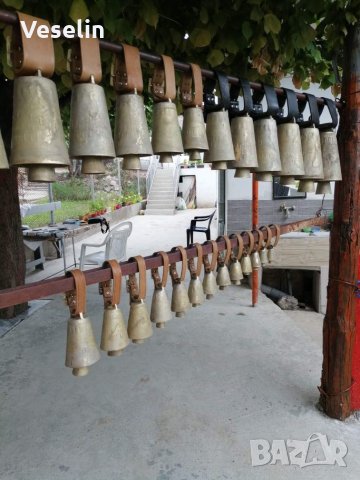 Чанове, със колани и без колани ., снимка 2 - Други животни - 26361728