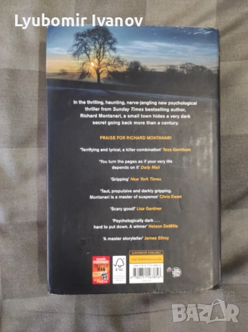 The Buried Girl (Richard Montanari), снимка 2 - Художествена литература - 52506579