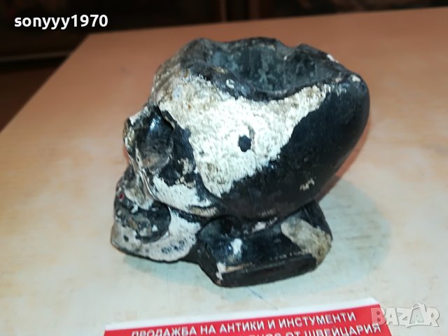 череп пепелник 1105222034, снимка 12 - Антикварни и старинни предмети - 36731642