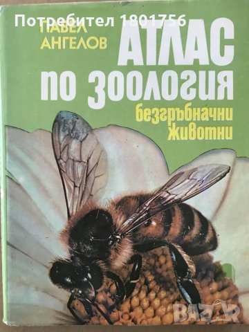Атлас по зоология Безгръбначни животни - Павел Ангелов