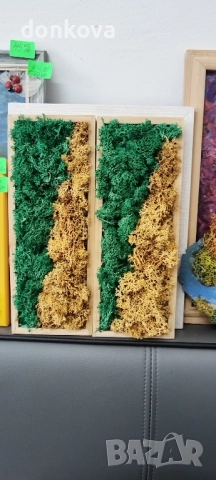 декорации ръчно изработени от жив скандинавски мъх и сапунени рози., снимка 15 - Декорация за дома - 52206003