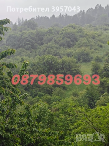 Собственик продава обзаведена къща , снимка 5 - Къщи - 52286071