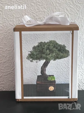 Бонсай със скандинавски мъх, снимка 4 - Декорация за дома - 49378365