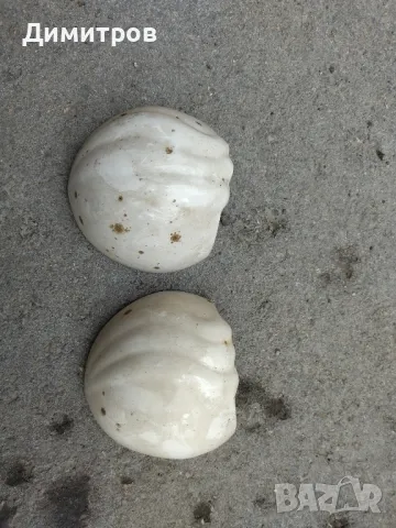 Керамична саксия за стена