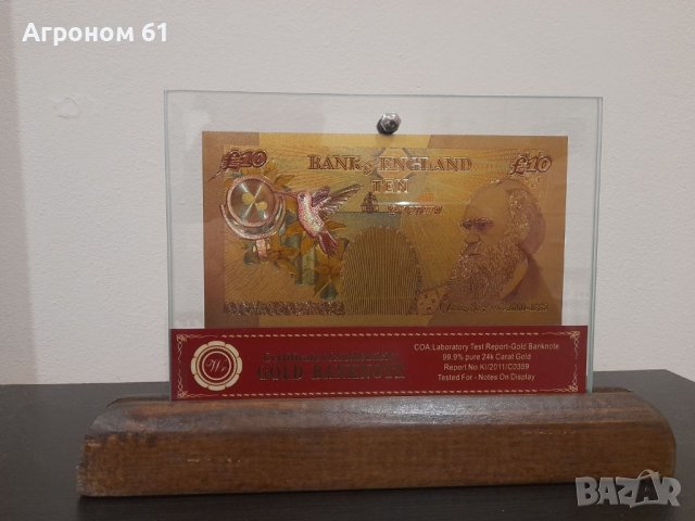 Банкноти Паунди златни в стъклена поставка и масивно дърво, снимка 6 - Други ценни предмети - 38708202