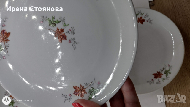 Десертни чинии Д. Стефанов, Разград. Декор дъбов лист, без кант., снимка 9 - Чинии - 44891236