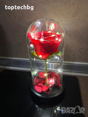 Вечна роза в стъкленица с лампички, снимка 1 - Романтични подаръци - 35541070