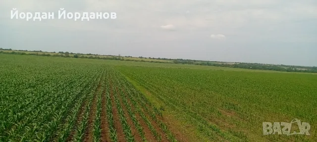 окопен култиватор с торовнасяне , снимка 5 - Селскостопанска техника - 50316913