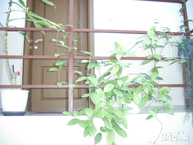 дигитален фотоапарат Praktica DCZ 6.3, снимка 16 - Фотоапарати - 53423195