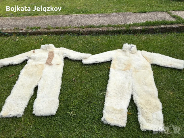 Сурвакарски костюм , снимка 8 - Костюми - 50741742