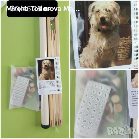 Картини по номера 40/50см.-25лв., снимка 5 - Подаръци за рожден ден - 36802522