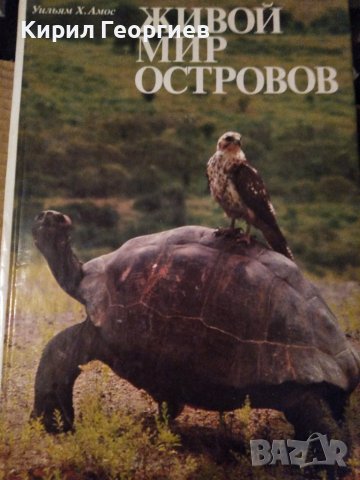 Живой мир Островов, снимка 1