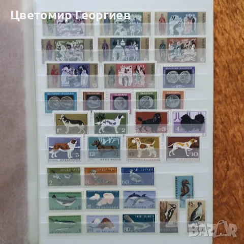 България.  К.2-3