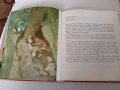АТЛАС по ЗООЛОГИЯ , снимка 6