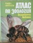 Атлас по зоология Безгръбначни животни - Павел Ангелов, снимка 1
