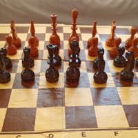Шах за професионалисти , снимка 6 - Други спортове - 43467007