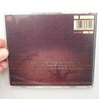 Alison Moyet - Hoodoo, CD аудио диск, снимка 4 - CD дискове - 40099340
