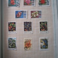 Каталог Съветски марки Флора и Фауна , снимка 10 - Филателия - 44048347