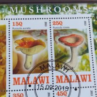 Пощенски марки чиста комплектна серия ГЪБИ 2013г. поща Малави за колекция 29802, снимка 6 - Филателия - 37689347