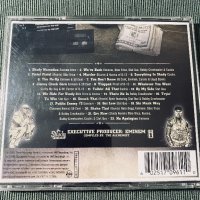 Eminem,Bloodhound Gang,Notorious BIG , снимка 8 - CD дискове - 44113922