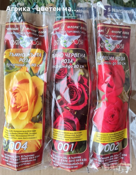 РОЗИ корени НОВО ЗАРЕЖДАНЕ от лицензиран разсадник , снимка 1