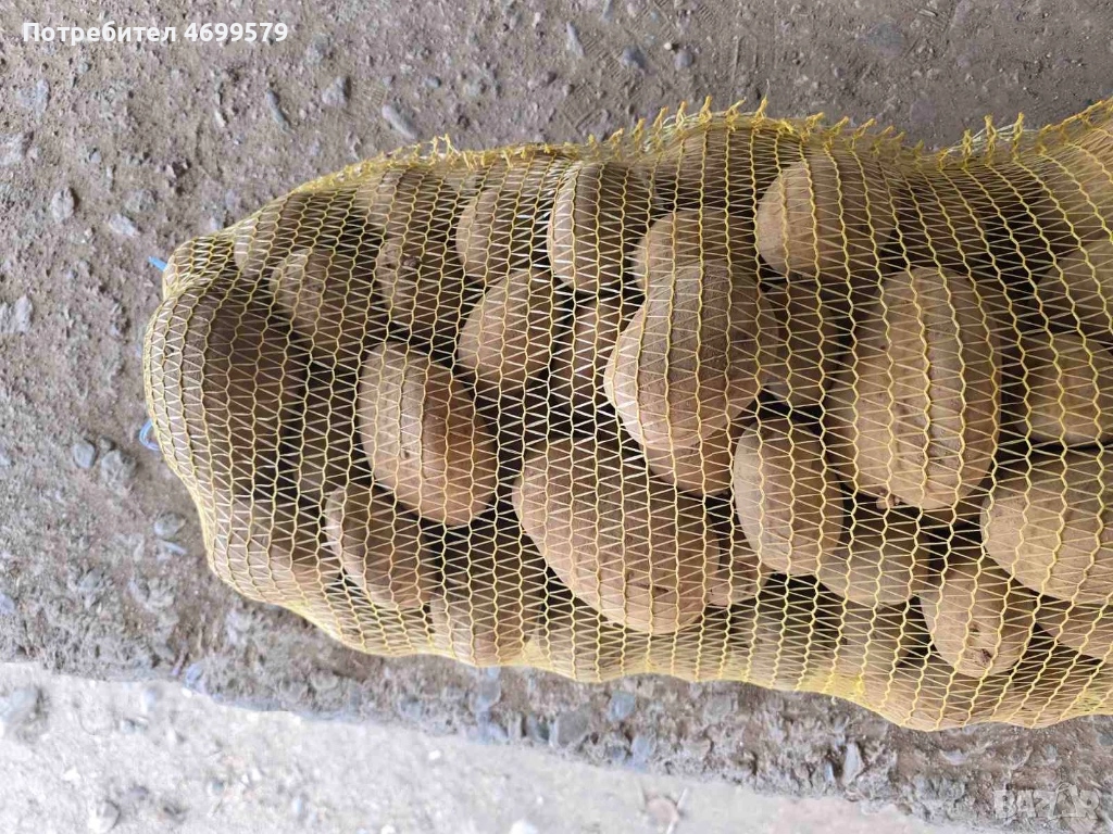 Вкусни картофи от производител , снимка 1