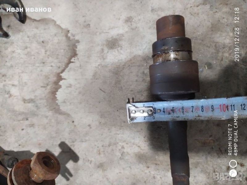 Дорник съчмен, снимка 1