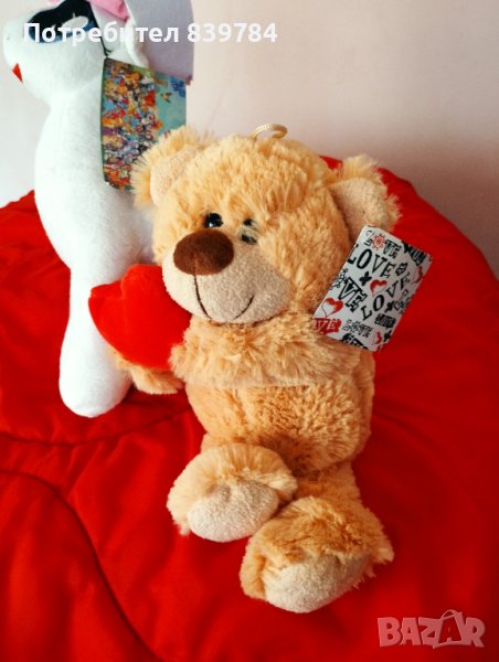 Плюшени мечета , снимка 1