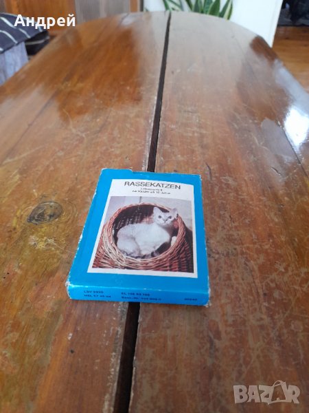 Стари карти за игра Котки, снимка 1