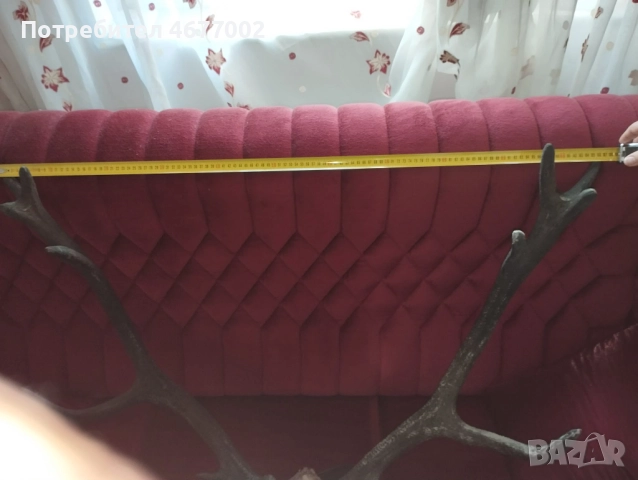 Красив трофей от елен, снимка 10 - Антикварни и старинни предмети - 52793539