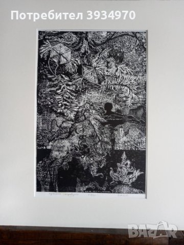 Кртина Златка Дъбова