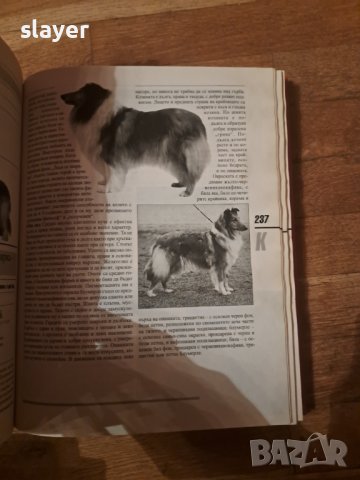 Световна енциклопедия на кучетата, снимка 4 - Художествена литература - 43749459