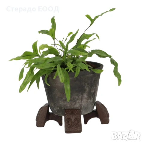 ПОДПОРНО КРАЧЕ ЗА САКСИЯ, снимка 5 - Саксии и кашпи - 53202496