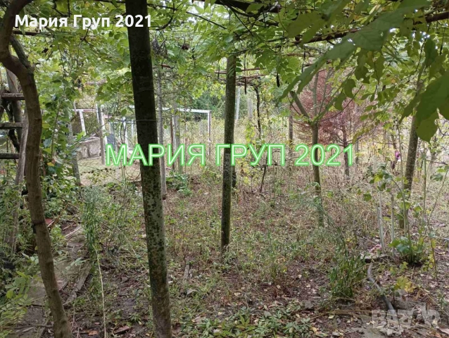 !!!НАМАЛЕНА ЦЕНА!!!Продавам Къща Близнак в село Долно Белево община Димитровград!!!, снимка 15 - Къщи - 52064144