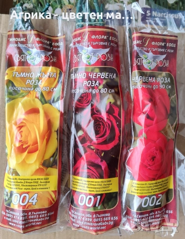 РОЗИ корени НОВО ЗАРЕЖДАНЕ от лицензиран разсадник 