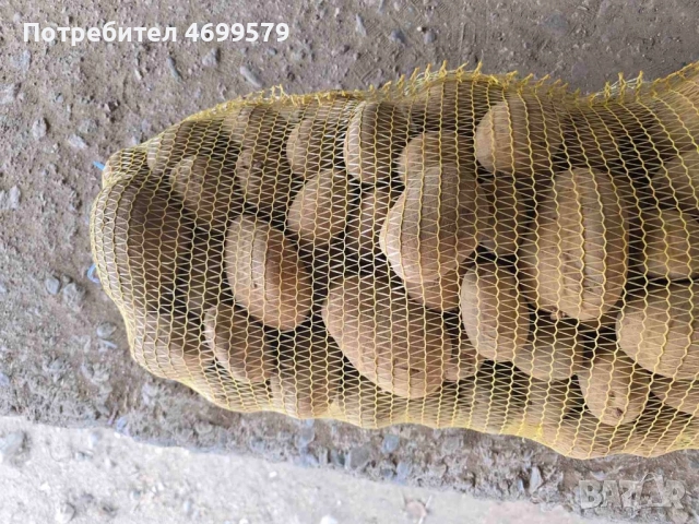 Вкусни картофи от производител 