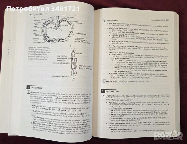 Clinical Anatomy 3rd edition, снимка 6 - Специализирана литература - 53519575