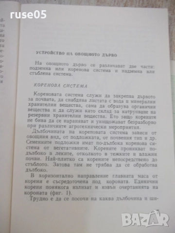Книга "Малка овощна градина-Т.Ангелов/С.Иванов" - 184 стр.-1, снимка 3 - Специализирана литература - 51761656