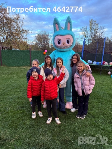Labubu изненада!, снимка 3 - Детегледачки, детски центрове - 52306194