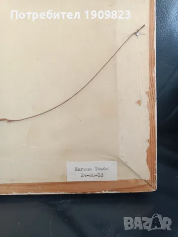 Картина Евгени Томов, снимка 6 - Картини - 48857947