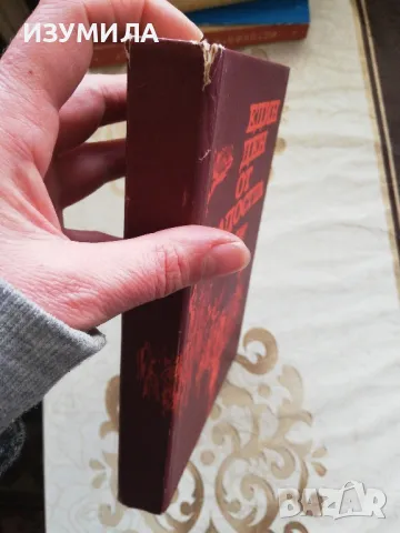 Един ден от младостта - Тончо Жечев, Наташа Манолова, Давид Овадия, снимка 2 - Българска литература - 48963824