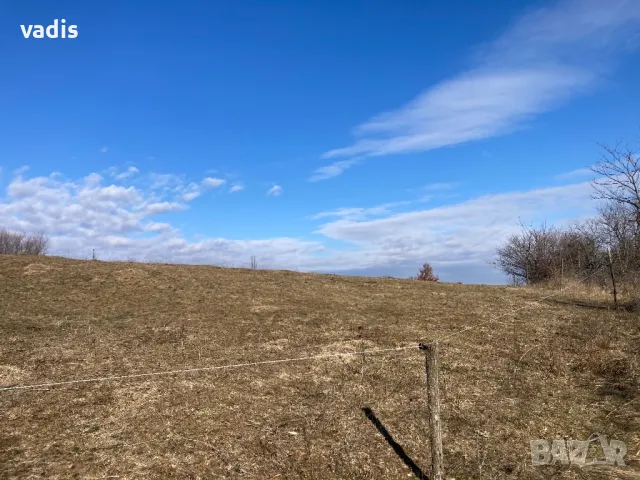 Овощна градина с. Осиковица, снимка 3 - Земеделска земя - 48824425