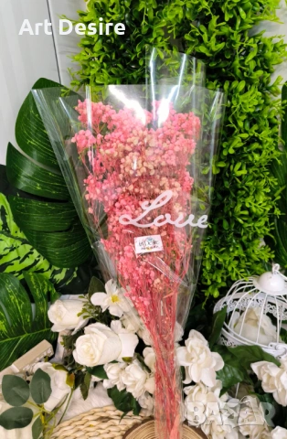 Гипсофил , снимка 4 - Други - 53408838