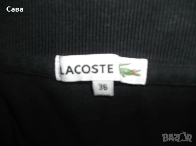 Тениски LACOSTE,TOMMY HILFIGER  дамски,С, снимка 11 - Тениски - 51458375