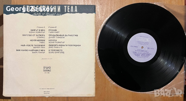 Божествени тела, снимка 2 - Грамофонни плочи - 44858623