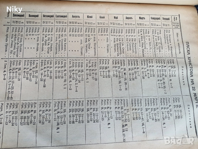 Библия-Семейна Литопис 1925г. , снимка 17 - Антикварни и старинни предмети - 52721150