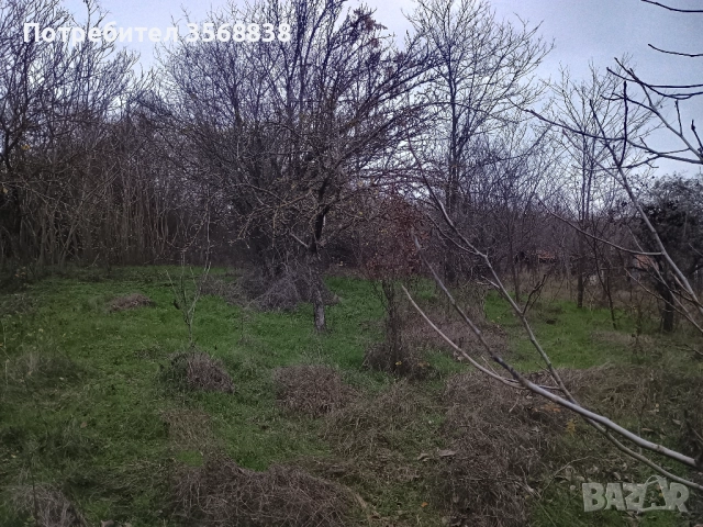 Вила ,със застроена площ 50 кв  м (има и гараж), , снимка 12 - Вили - 52789100